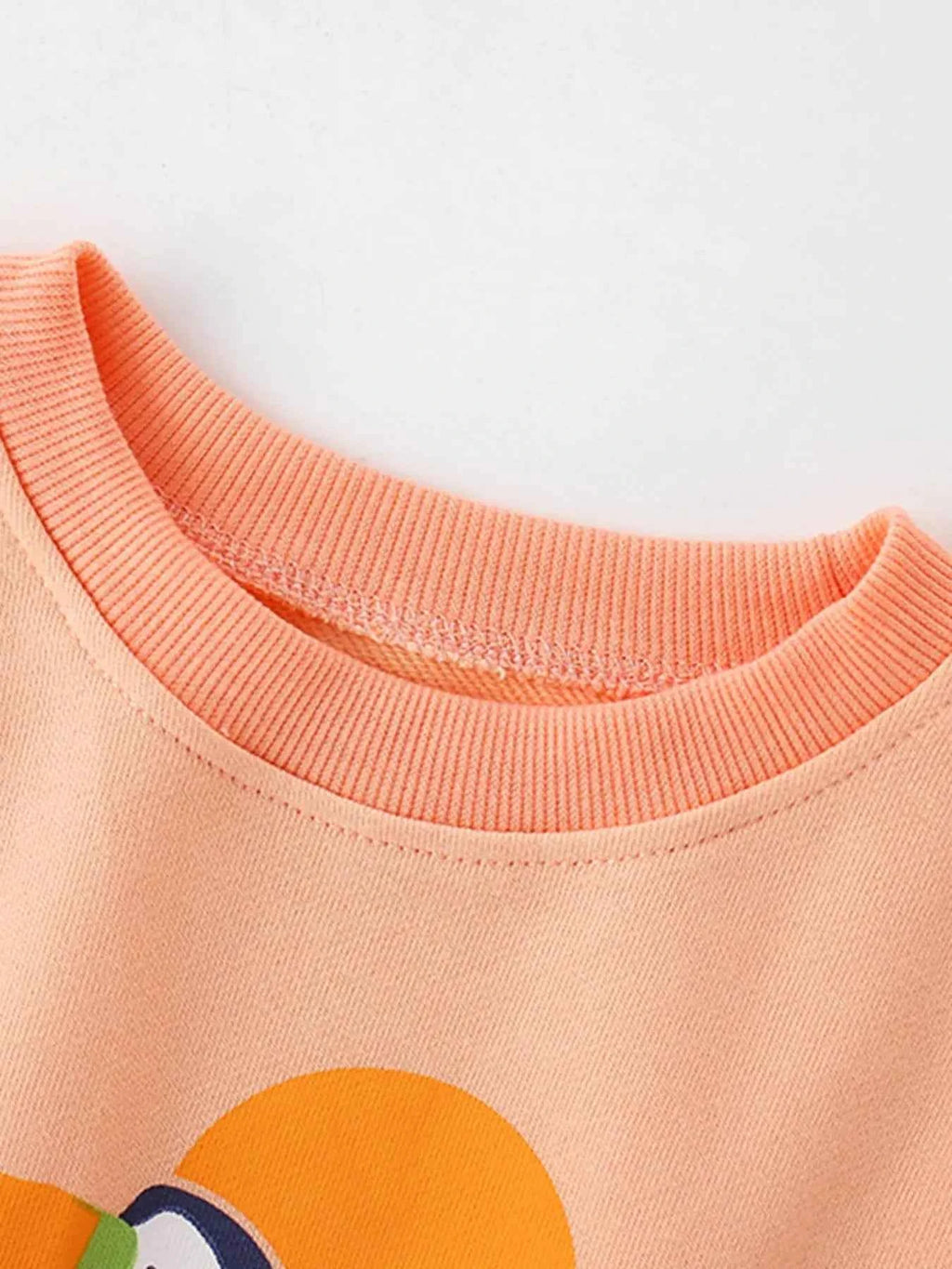 Children's Bird Graphic Crew Neck Sweatshirt