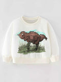 Children's Dinosaur Graphic Crew Neck Sweatshirt