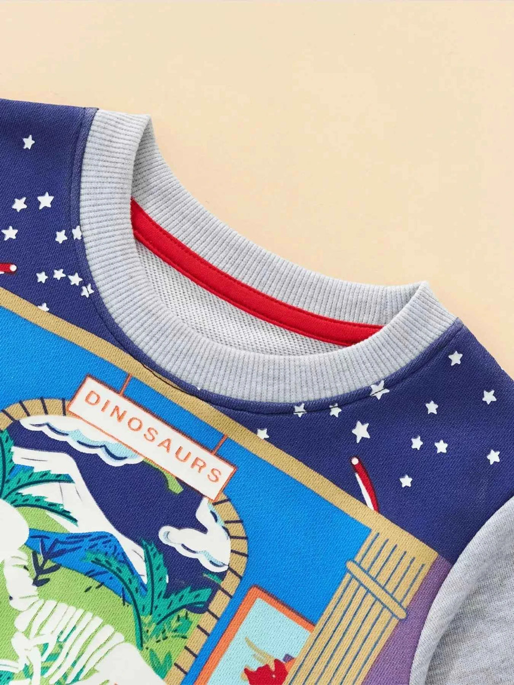 Children's Dinosaur Museum Graphic Crew Neck Sweatshirt