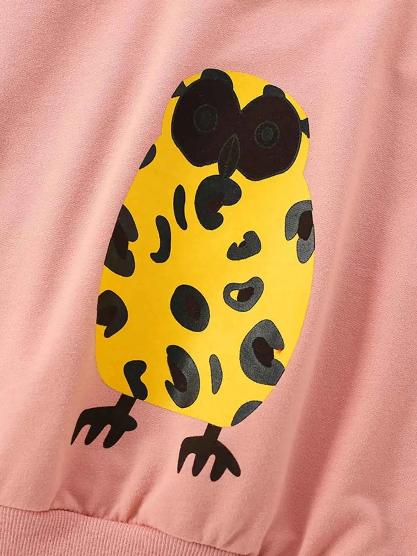 Children's Owl Graphic Crew Neck Sweatshirt